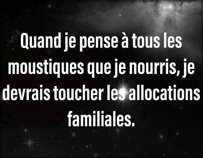 moustiques.jpg