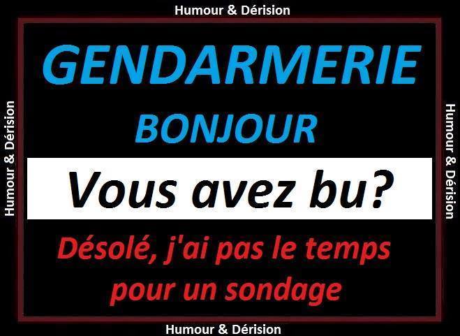 sondage.jpg
