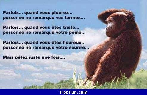 parfois.......jpg