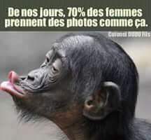 photos.jpg