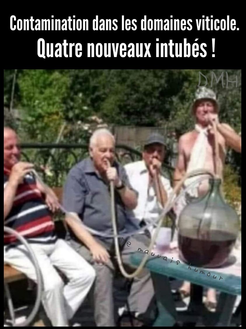 intubés.jpg