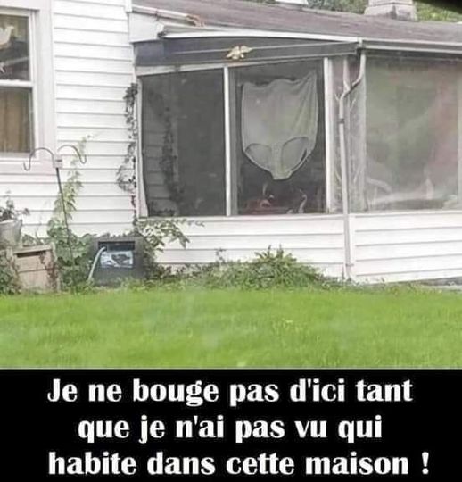 je bouge pas......jpg