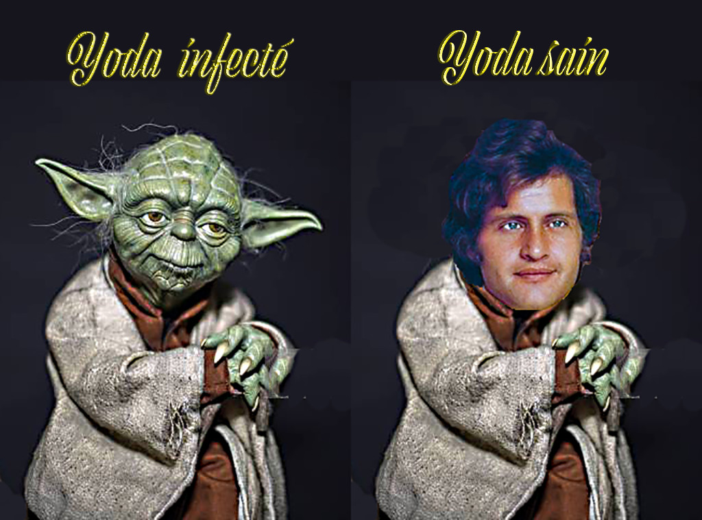 yoda.jpg