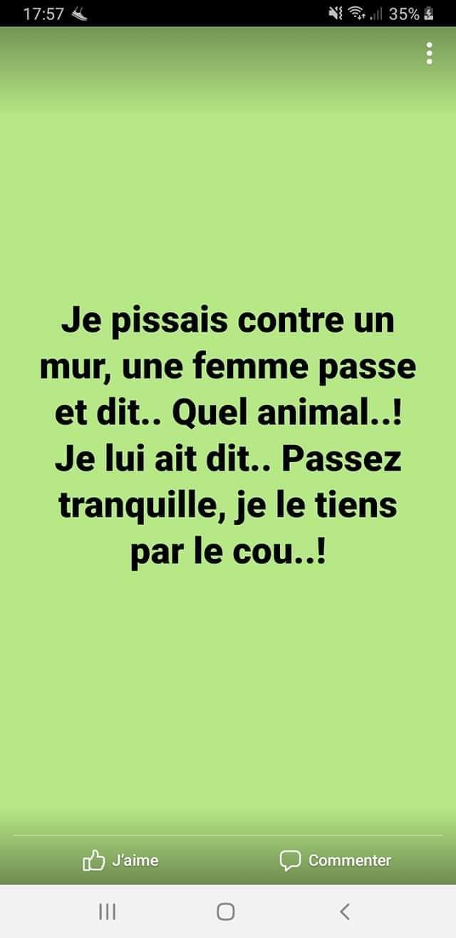 animal.jpg