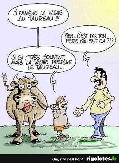 vache!!!.jpg