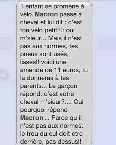 cheval vélo.jpg