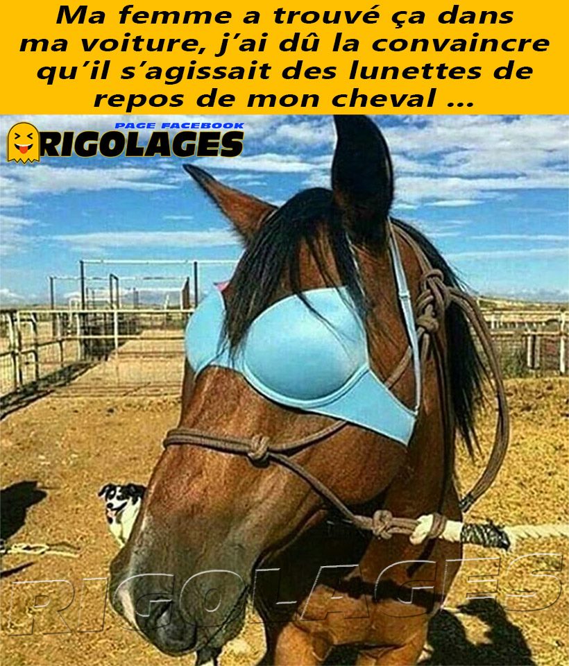 cheval.jpg