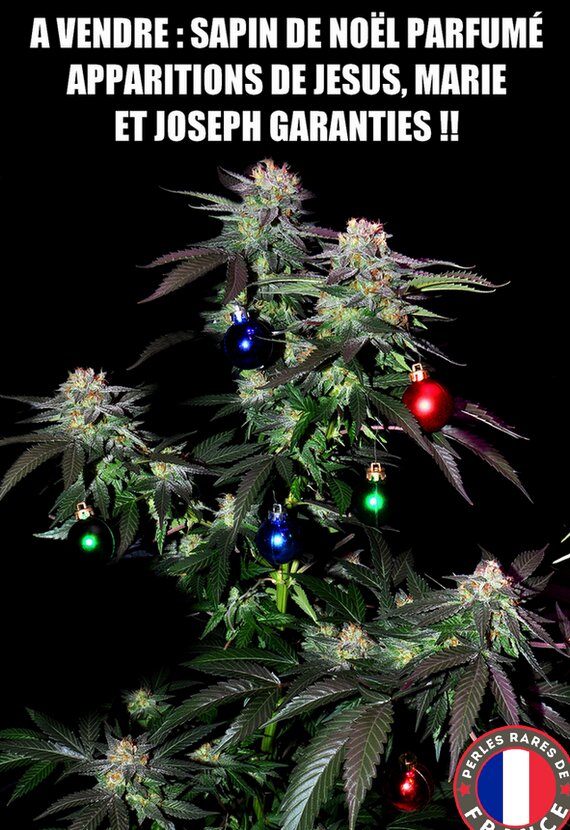 sapin.jpg