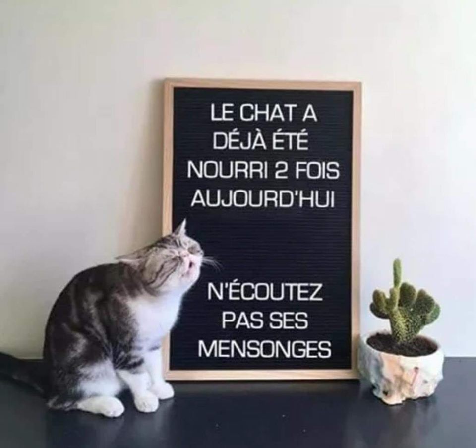 chat.jpg
