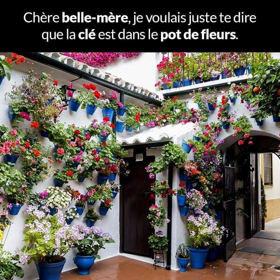 belle mère.jpg