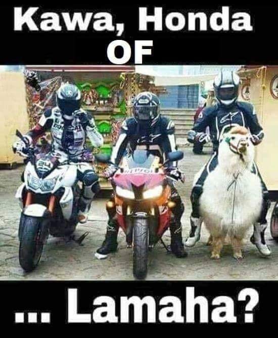 moto.jpg