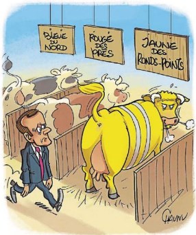 vache.jpg