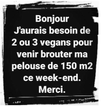 vegans.jpg