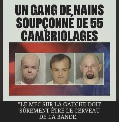 gang.jpg