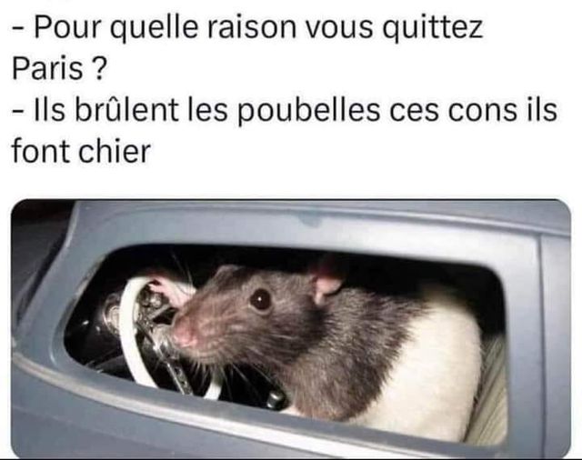 paris.jpg