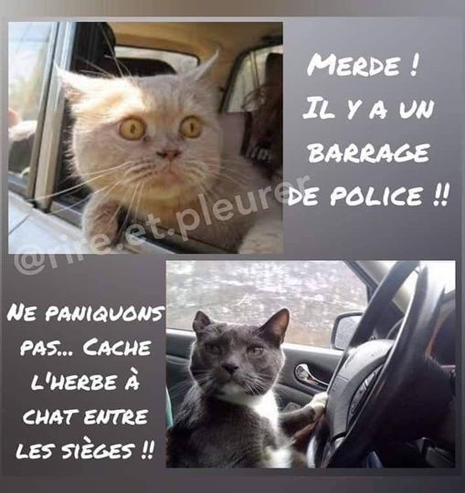 herbes.jpg