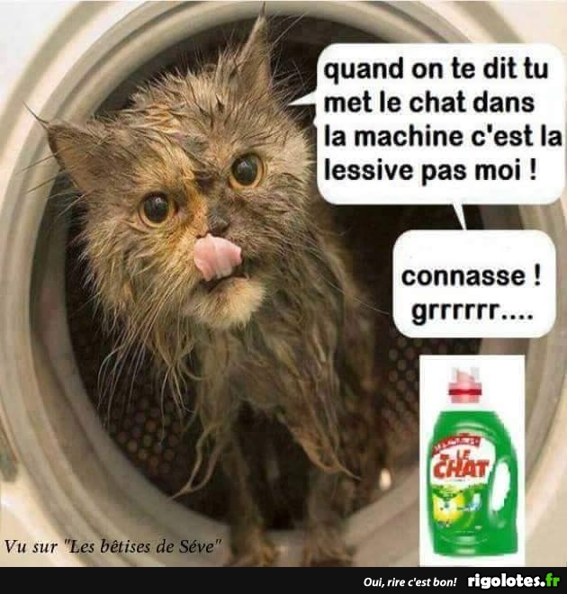 linge.jpg