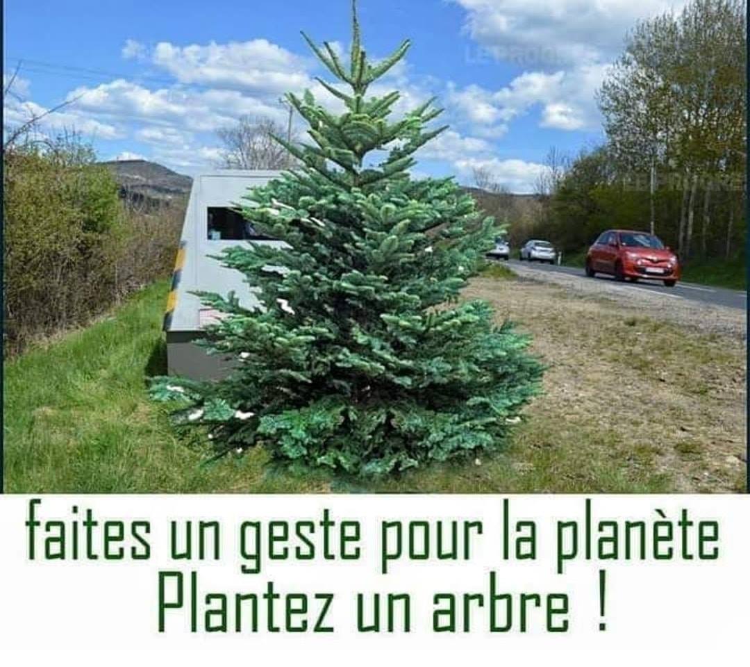 planter.jpg
