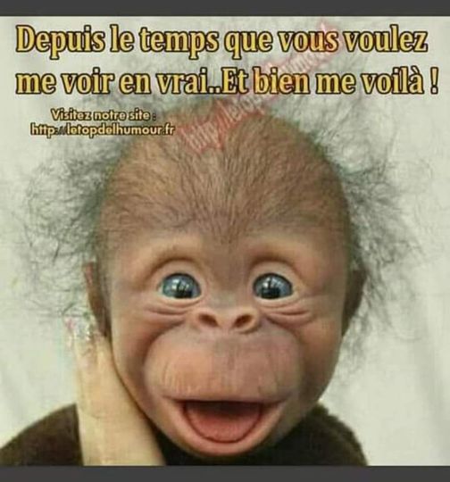 moi en vrai.jpg
