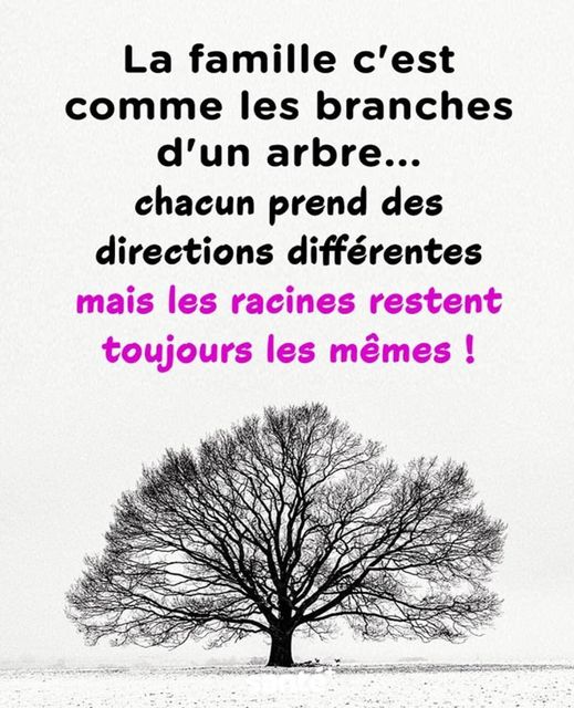 racines.jpg