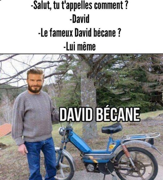 DAVID.jpg