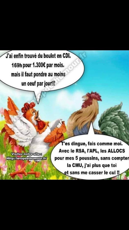 boulot.jpg