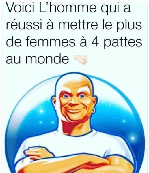 4  pattes.jpg