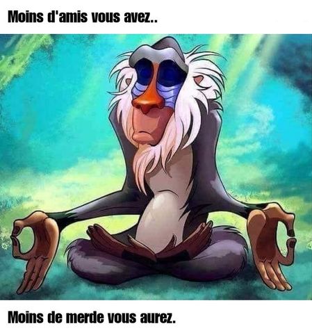 Amis.jpg