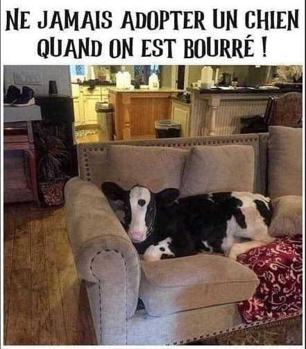 Bourré.jpg