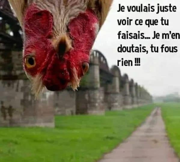 juste savoir.jpg