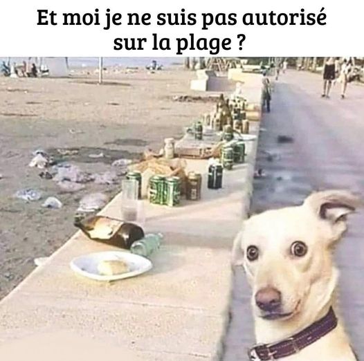autorisé.jpg