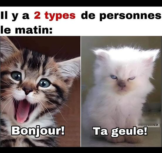 2 type.jpg