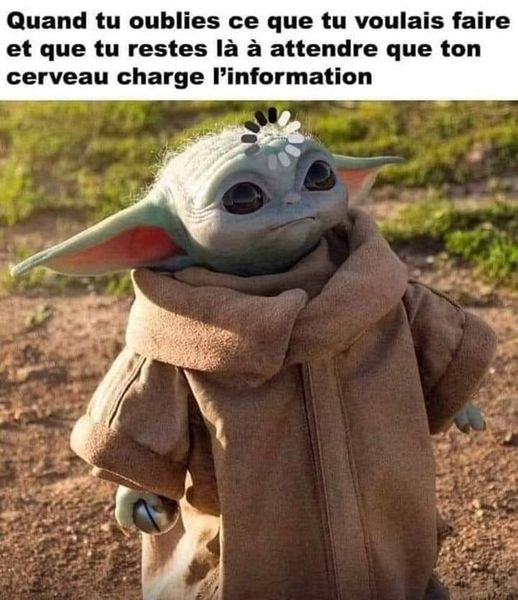 cerveau.jpg