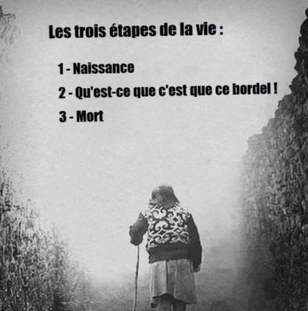 La vie.jpg