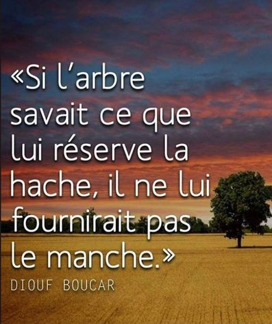L'arbre.jpg