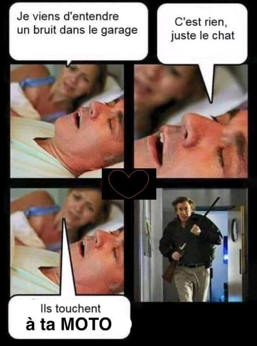 bruit.jpg