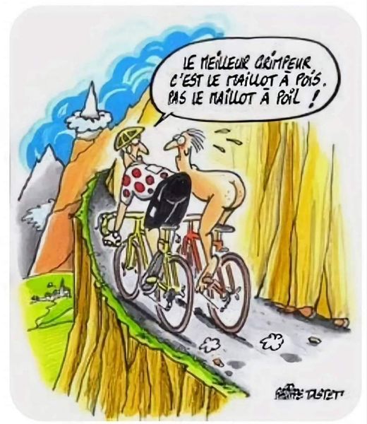 maillot.jpg