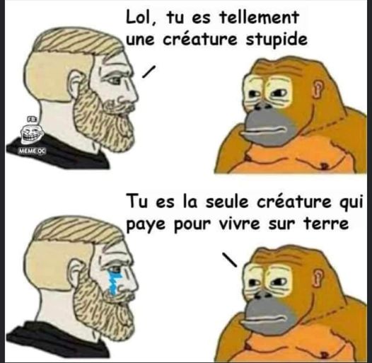 creature.jpg