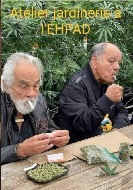 jardinerie.jpg