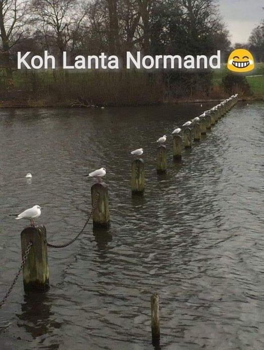 normand.jpg