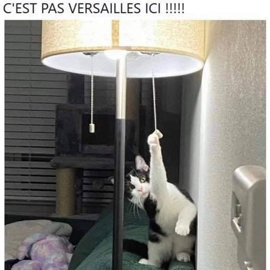 versaille.jpg