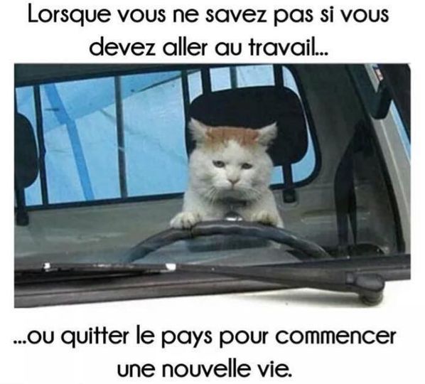 sapez pas.......jpg