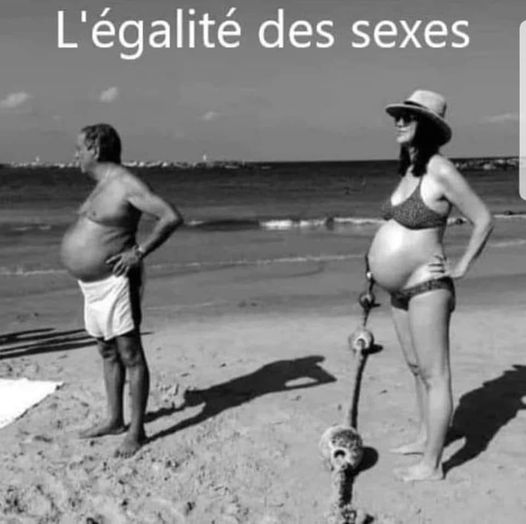 égalité.jpg