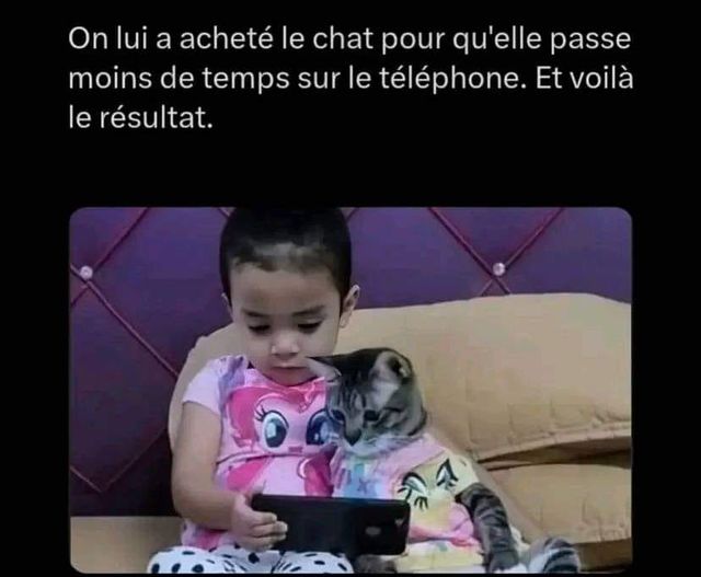 chat.jpg
