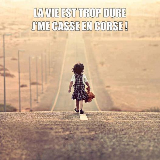 la vie....jpg