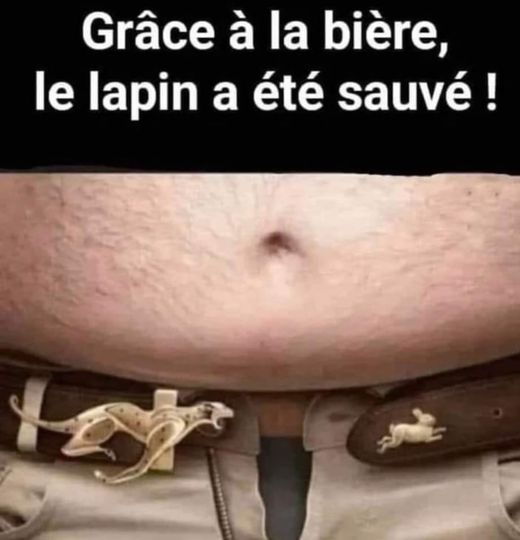 lapin.jpg