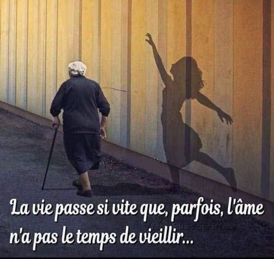 la vie......jpg