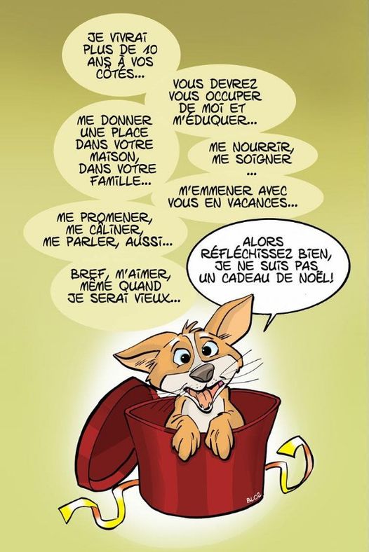 cadeau.jpg