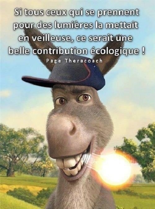 lumiere.jpg