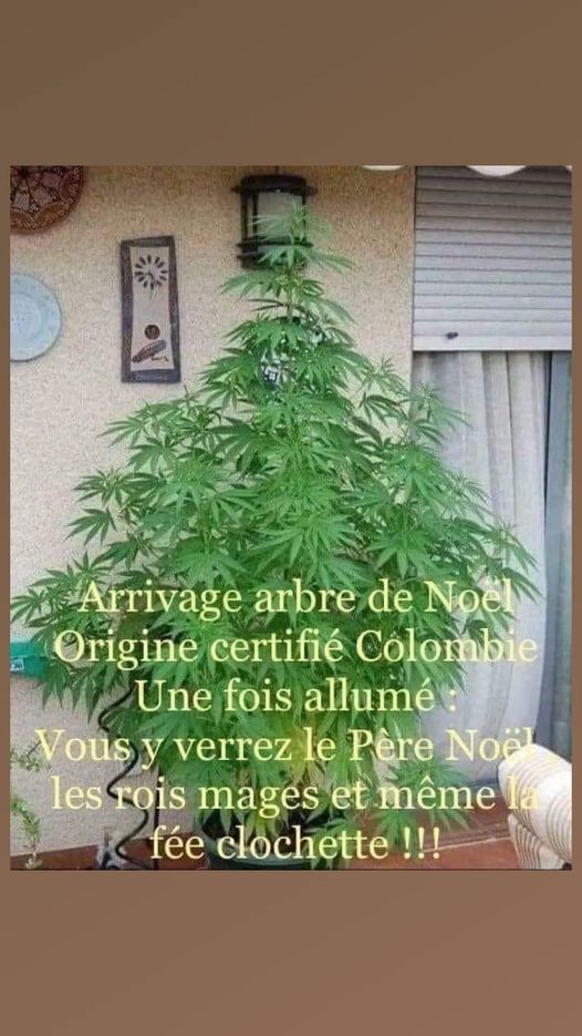 arbre noel.jpg